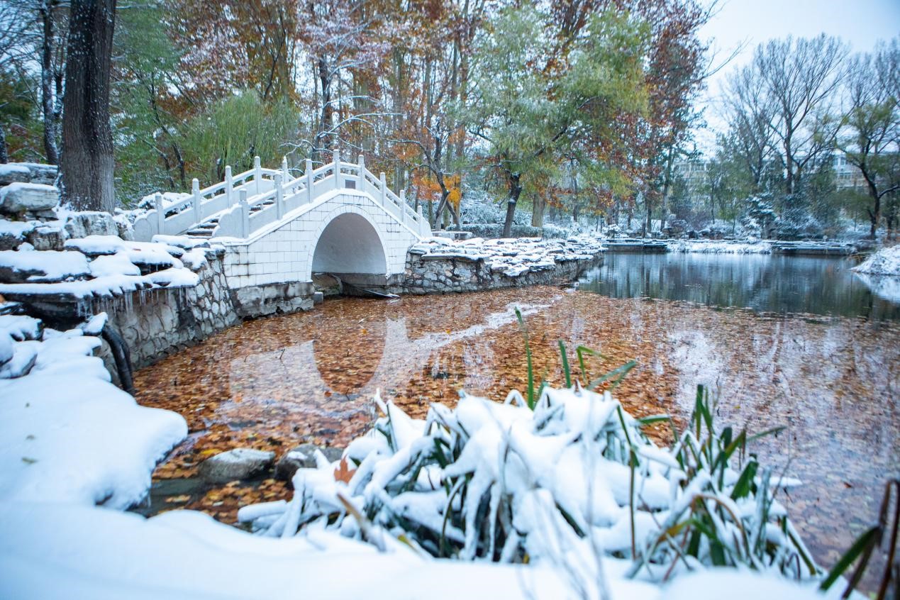 E9CB8B2E83F6A69288B3C46868D_B44DAC01_572BF